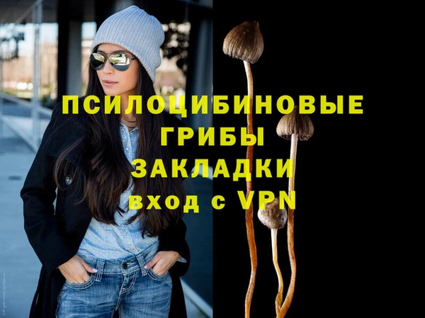 прущий лед Аркадак